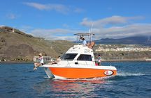 Coastal excursion with cetacean search