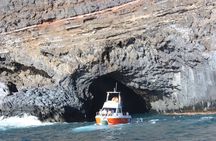 Coastal excursion with cetacean search