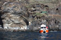 Coastal excursion with cetacean search