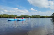 New Smyrna Dolphin and Manatee Kayak and SUP Adventure Tour