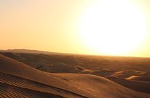 Dubai Desert Safari with Dinner, Dune Bashing and Camel Riding
