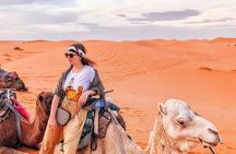 Overnight stay in desert camp & Camel trekking in the Sahara
