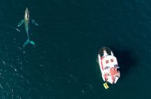 Private Yacht Charter ChicaFUN 3 Waterslides All Inclusive
