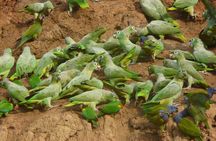 3 Days Tour in Manu Amazon