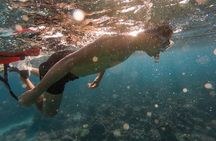 Guided Snorkeling Adventure in West Bay