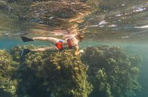 Guided Snorkeling Adventure in West Bay