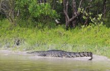 Kayak Experience in the Mangroves of Holbox Island