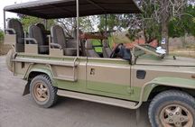 Flight Package Zanzibar to Nyerere National Park (Selous GR) 3 Days 2 Nights