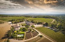 Visit of the cellars of Château Gigognan with tasting