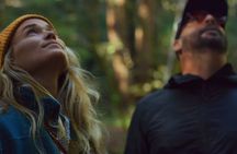 Redwoods Forest Bathing