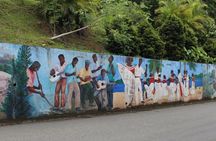 Beach Excursion in Tortola and sightseeing in Fahie Hills