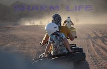 Safari 5 in 1 Quads, Camels, Show, Dinner & Star Gazing in Sharm El Sheikh