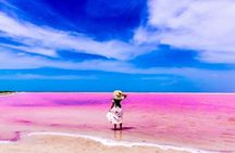 Pink Lake and Flamingo Sightseeing in Rio Lagartos