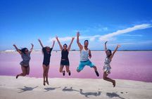 Pink Lake and Flamingo Sightseeing in Rio Lagartos