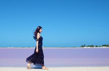 Pink Lake and Flamingo Sightseeing in Rio Lagartos