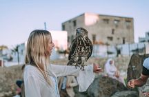 luxury 4 Hour Private Tour of Tangier 
