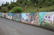 Beach Excursion in Tortola and sightseeing in Fahie Hills