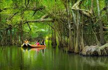 The Little Amazon and Sri Phang Nga Waterfall Full Day Tour From Khao Lak