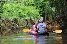 The Little Amazon and Sri Phang Nga Waterfall Full Day Tour From Khao Lak