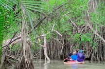 Half Day Canoe Boat Trip At Takuapa Little Amazon