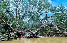 Half Day Canoe Boat Trip At Takuapa Little Amazon