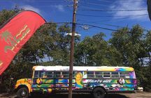 Half Day St. Kitts Party Bus City Excursion and Beach