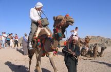 Hurghada Safari Adventure: Fun for the Whole Family