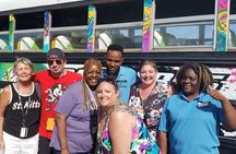 Half Day St. Kitts Party Bus City Excursion and Beach