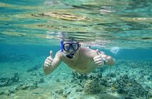 Discover Hamata Island With Snorkeling