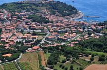 Authentic Elba Wine Tasting with Vineyard Walk & Sea Views