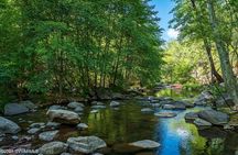  Sedona Healing Experience