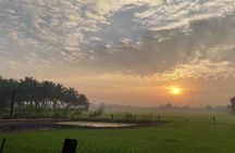  Mekong 2 Days 1 Night SMALL GROUP Stay at Family Tiny Homestay WITH BBQ DINNER