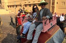 Jaipur: The Capital of Rajasthan 2-day Tour