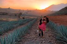 Tequila tour with tasting.