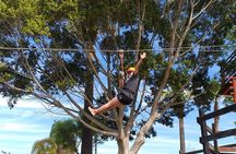 Adventure in Ensenada with Zipline, Marine Geyser and Shops