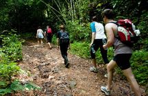 Khao Sok National Park Hiking and Bamboo Raft Tour From Khao Lak