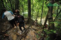 Khao Sok National Park Hiking and Bamboo Raft Tour From Khao Lak