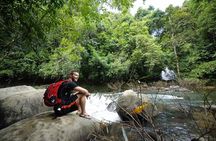 Khao Sok National Park Hiking and Bamboo Raft Tour From Khao Lak