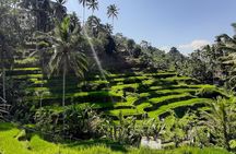 Private Driver in Bali with English Speaking