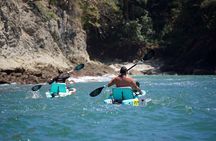 Kayak Tour in Quepos