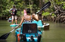 3-Hour Damas Mangrove Kayak Tour