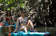 3-Hour Damas Mangrove Kayak Tour