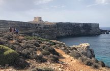 Fernandes Cruise to Blue Lagoon in Comino and Gozo