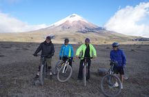 Cotopaxi Volcano: Biking Small Group Full Day Tour