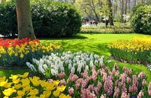 Keukenhof Luxury Private Tour (Max 7) from Amsterdam