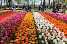 Keukenhof Luxury Private Tour (Max 7) from Amsterdam