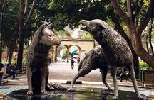 Xochimilco Tour: Coyoacan and Frida Kahlo Museum in Mexico City