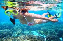 Bali Blue Lagoon and Tanjung Jepun Snorkeling with Transport 