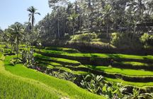 Heaven Gate, Tirtagangga and Tukad Cepung Waterfall - All Inclusive 