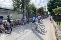 Shared Island Bike Tour in Bailey Town